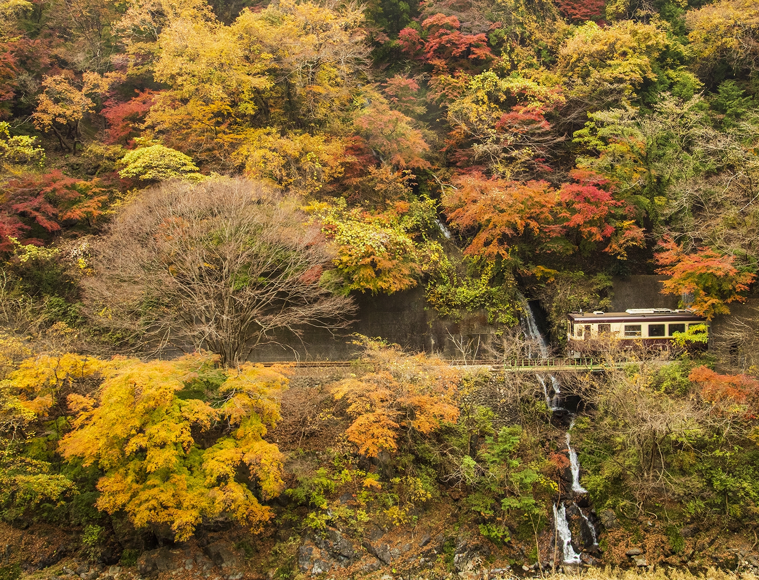 もういちど秋（わたらせ渓谷鐡道） | 四季の旅写真Gallery Annex