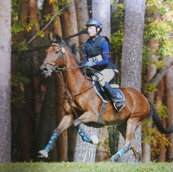 大阪府立大学馬術部 Opu Horse Club 大阪府立大学馬術部 Opu Horse Club