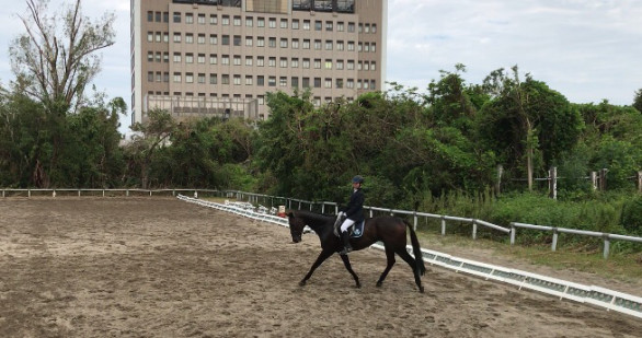 大阪府立大学馬術部 Opu Horse Club