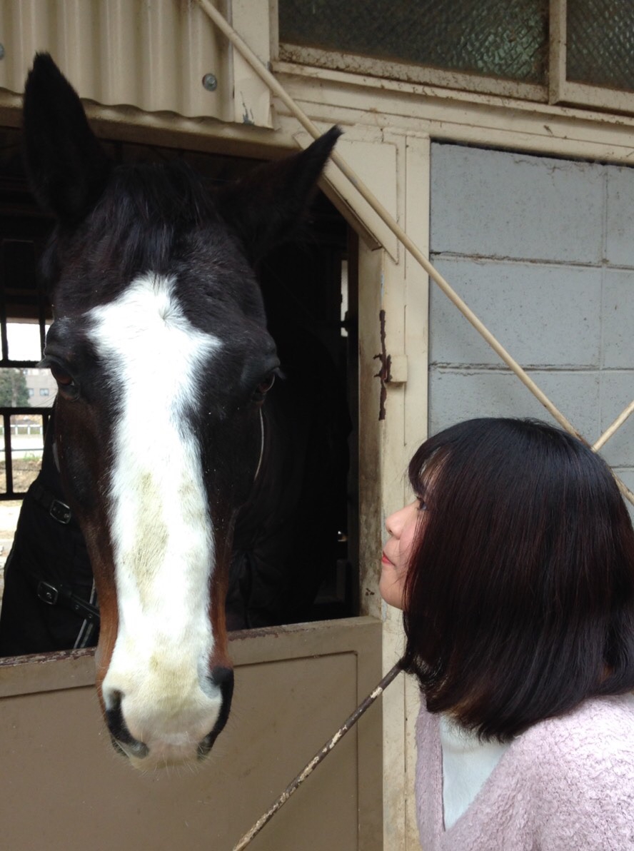 部員紹介 大阪府立大学馬術部 Opu Horse Club