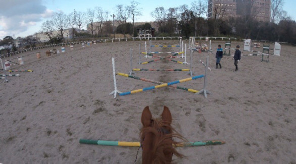 大阪府立大学馬術部 Opu Horse Club 大阪府立大学馬術部 Opu Horse Club