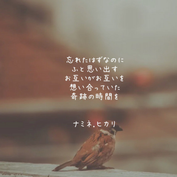 忘れられない恋 ナミネの恋詩