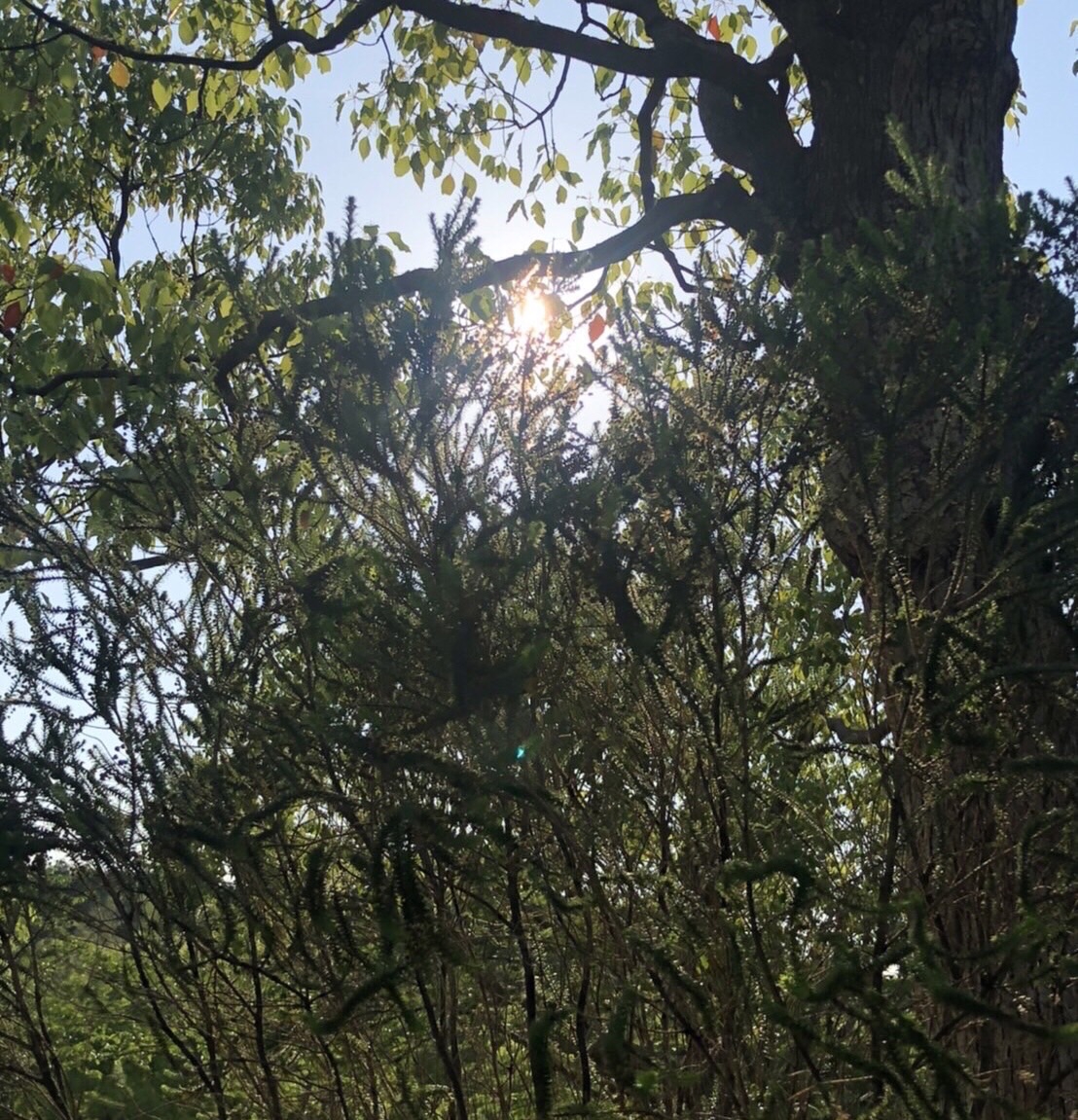 縛りから抜け出した世界に見えるものは | Healing