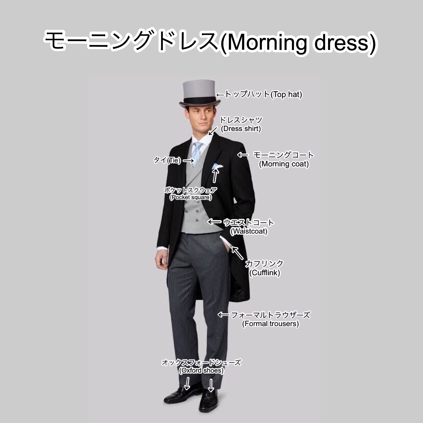 モーニングコートの話 | 紳士服ガイド 〜スーツから礼装まで〜