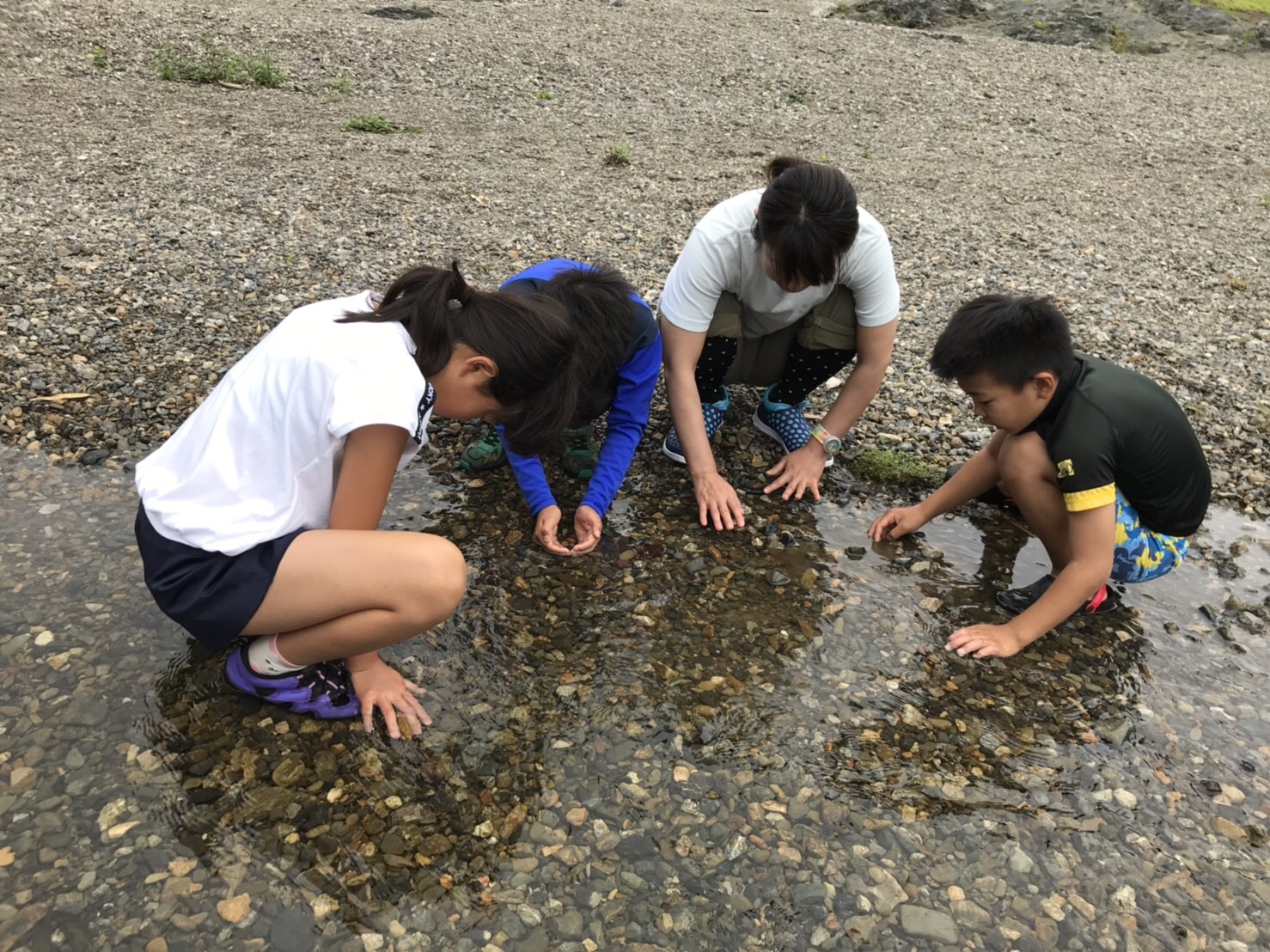 小学生さん 7月6日京北川遊び 認可外保育施設 つぼみの家