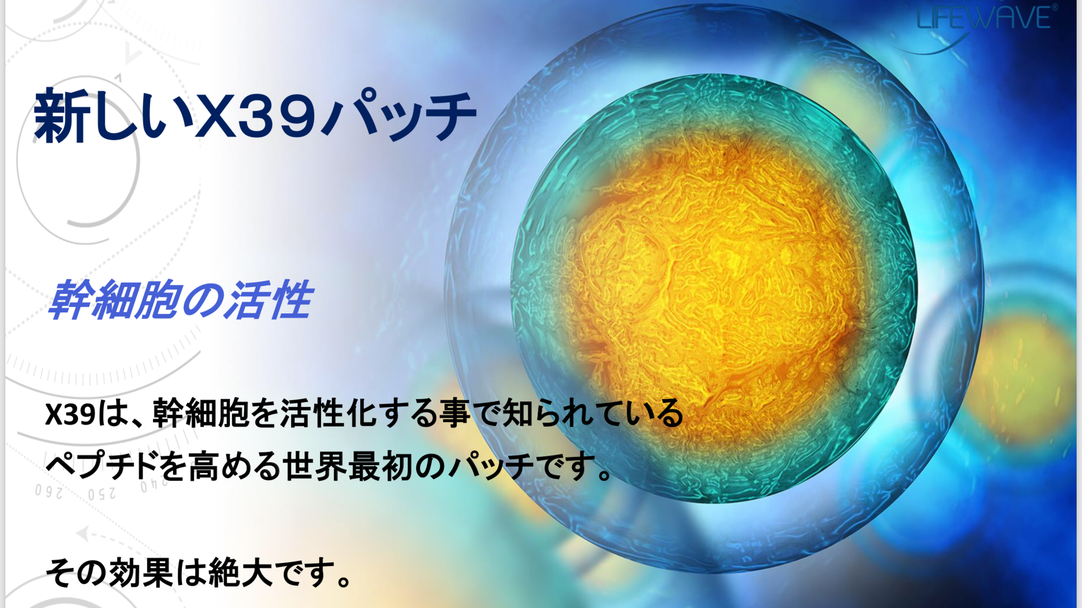 X39 新品30枚♡ライフウェーブ♡幹細胞パッチ 2個セット 大量購入 