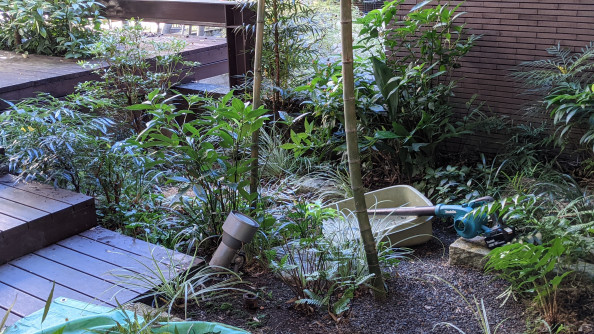 11月にもなりますと 世田谷の植木屋 庭竹 11月にもなりますと 世田谷の植木屋 庭竹
