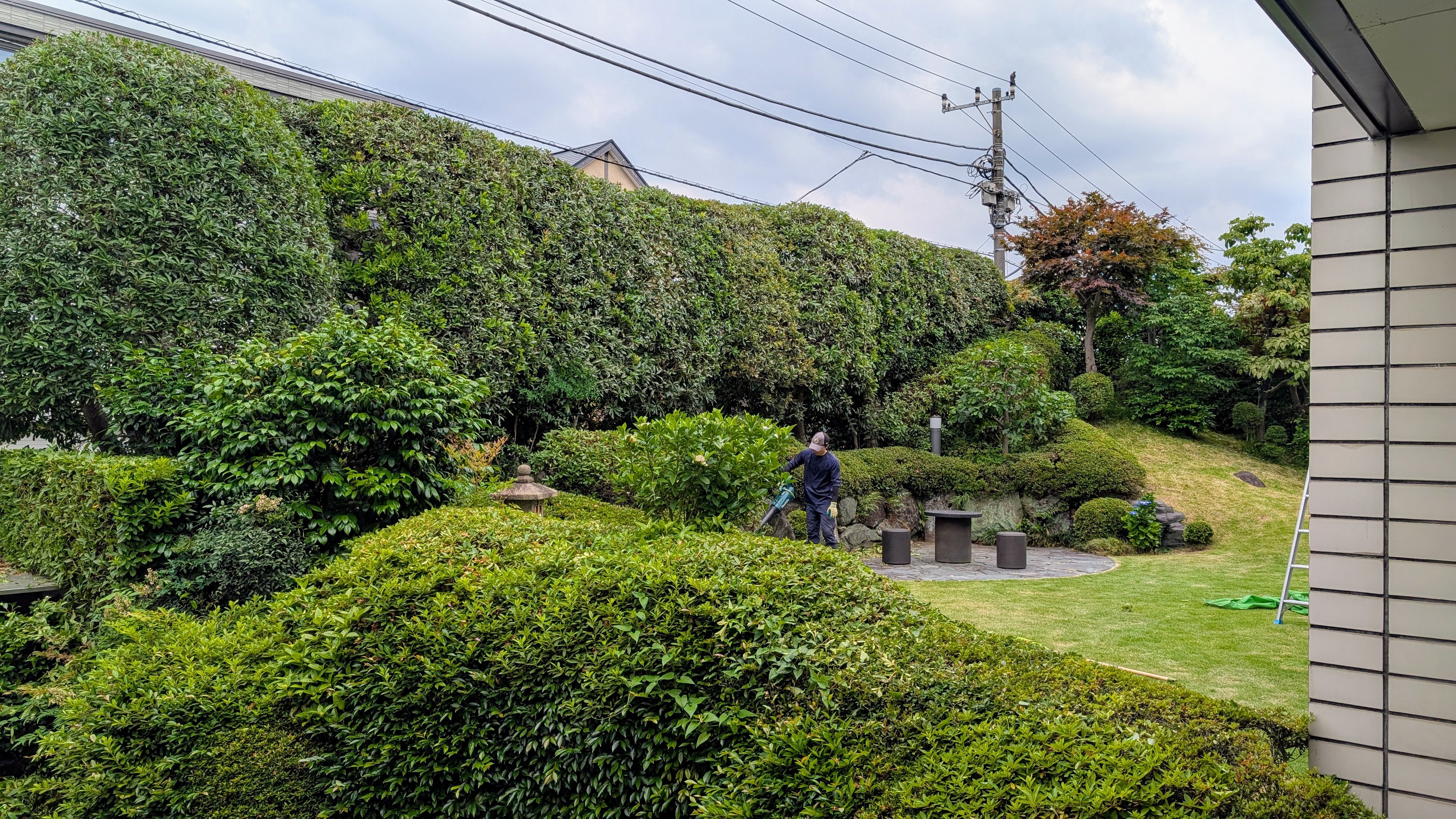 梅雨の頃（庭師） | 世田谷の植木屋 『庭竹』
