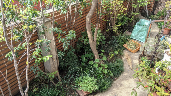 植木屋 芽吹きの頃 世田谷の植木屋 庭竹