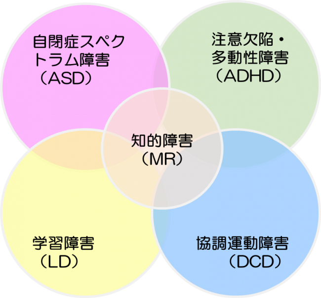 DCD(発達性協調運動障害） 発達相談室カメの歩み