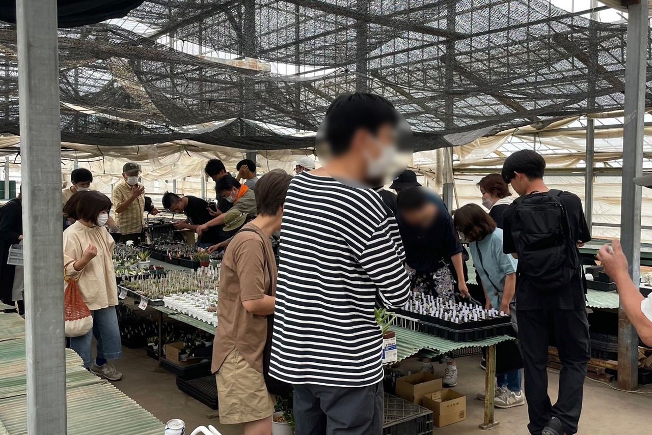 図解 サボテン作り 東京カクタスクラブ編 誠文堂新光社