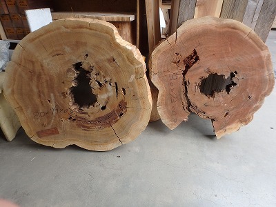 天杉輪切り、入荷しました! | 東京・吉祥寺の勝又木材【一枚板 天杉輪切り、入荷しました! | 東京・吉祥寺の勝又木材【一枚板