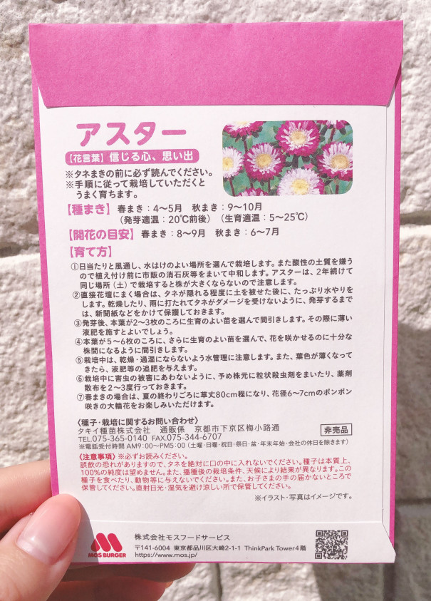 モスの日 アスター観察日記 モストピ