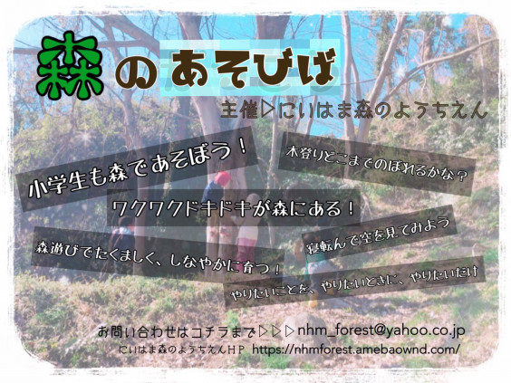 森のあそびば