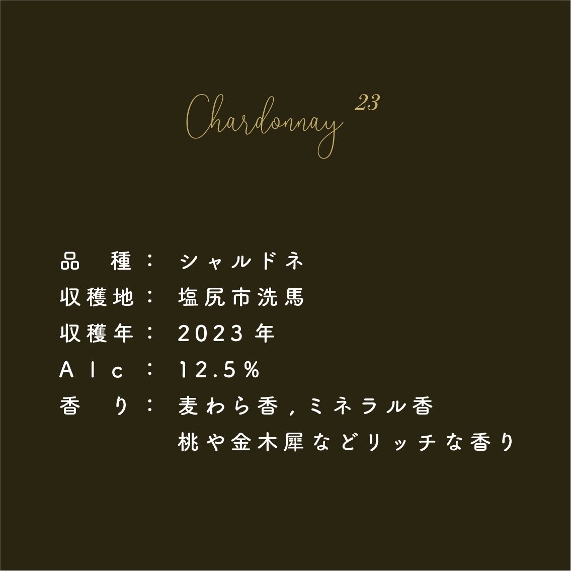 98ワインズ3本➕川島醸造ドメーヌ村山111Vineyard 6本セット 98ワインズ3本➕川島醸造ドメーヌ村山111Vineyard 6本セット