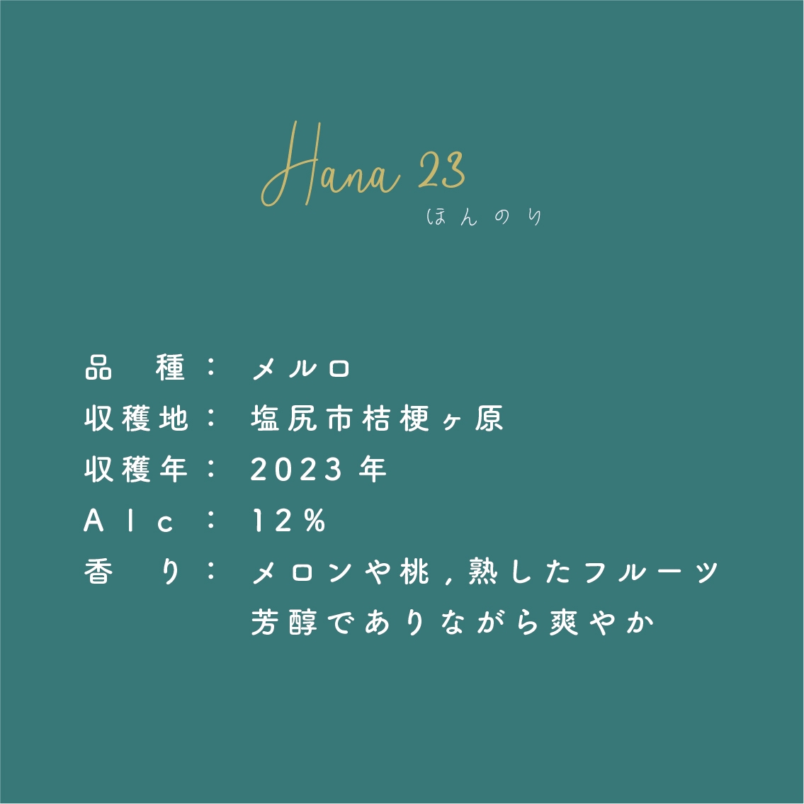 98ワインズ3本➕川島醸造ドメーヌ村山111Vineyard 6本セット 98ワインズ3本➕川島醸造ドメーヌ村山111Vineyard 6本セット