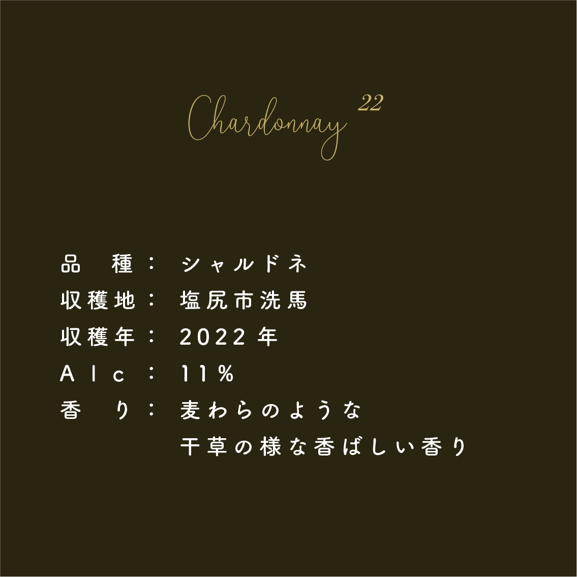 WINE | 111VINEYARD
