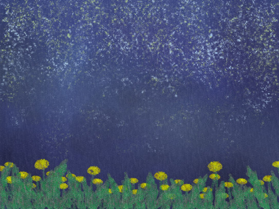 星とたんぽぽ Ponpy Illustration Site