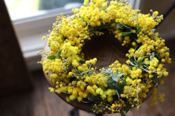 ミモザミモザミモザ 富良野 花七曜