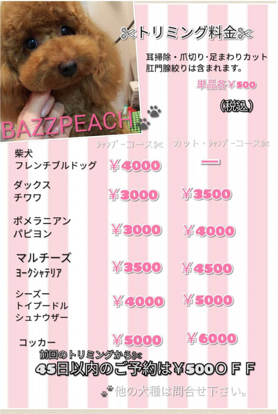 試験 役立つ 恐怖 柴犬 シャンプー 値段 Draganflyinvestments Com