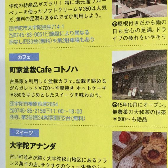 関西ファミリーwalker 町家盆栽cafe コトノハ S Ownd 関西ファミリーwalker 町家盆栽cafe コトノハ S Ownd