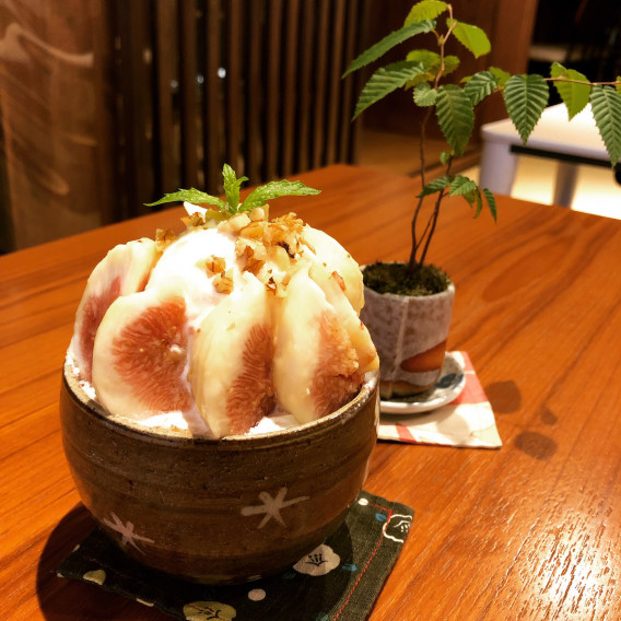 盆栽パフェ 無花果 町家盆栽ｃａｆｅ コトノハ S Ownd