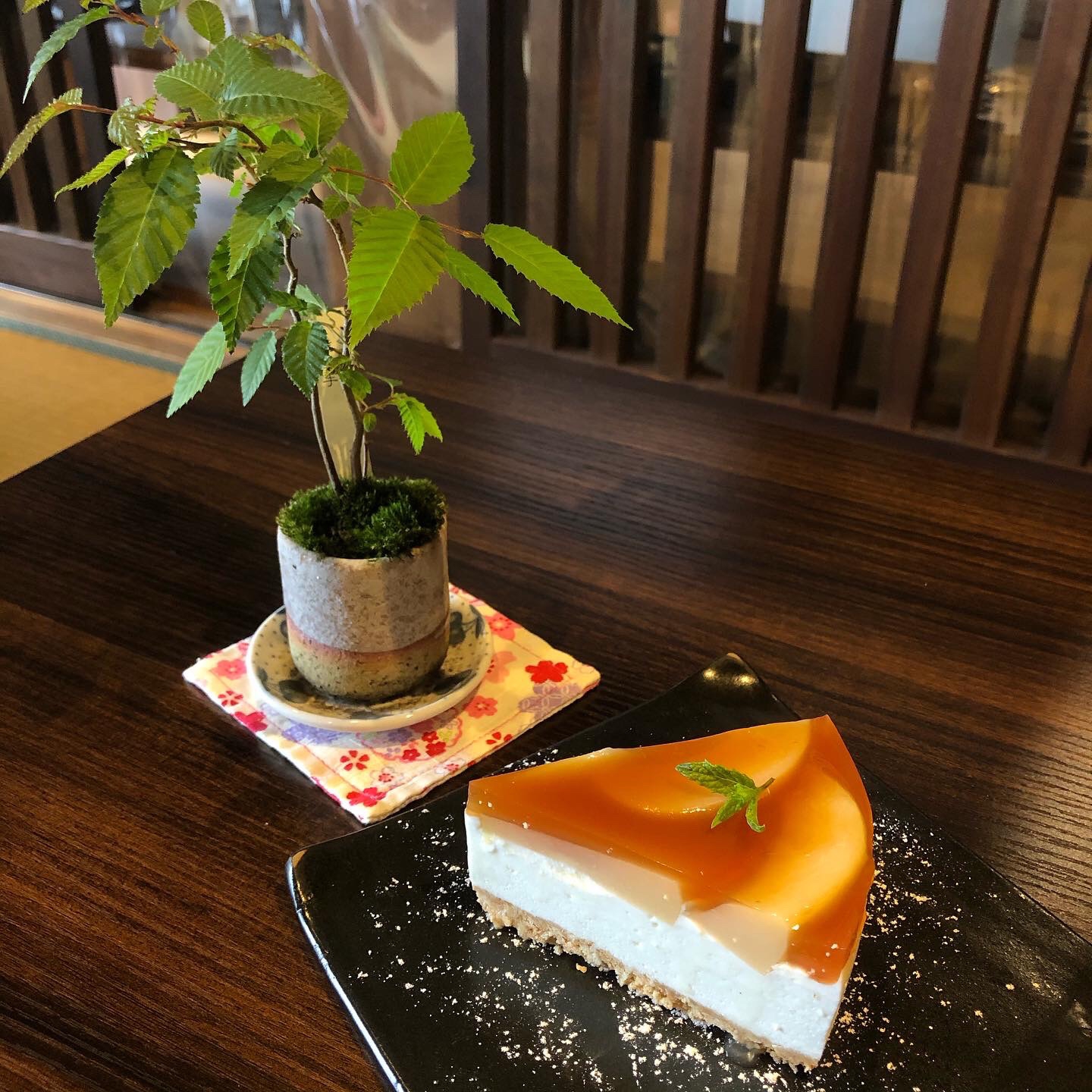 桃と紅茶のレアチーズケーキ 町家盆栽ｃａｆｅ コトノハ S Ownd