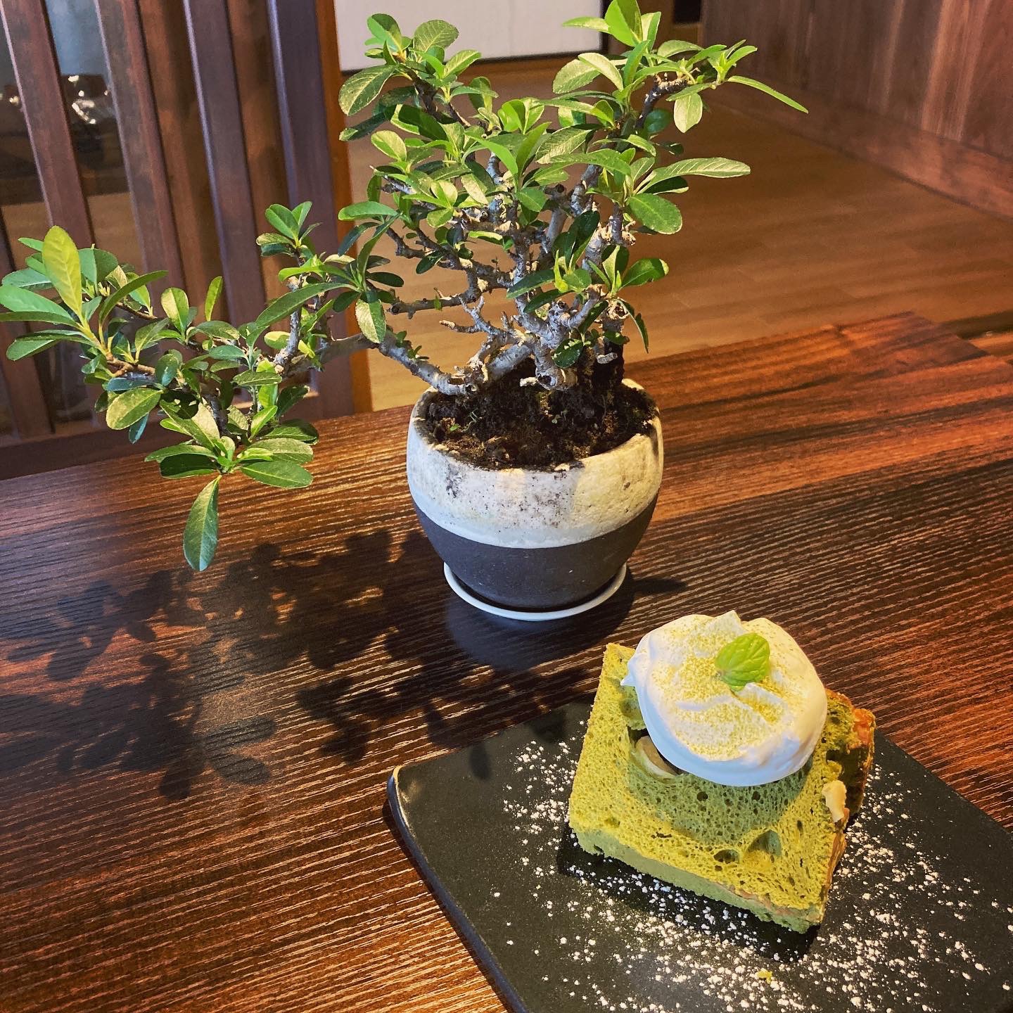 抹茶とホワイトチョコのシフォンケーキ | 町家盆栽 Cafe コトノハ