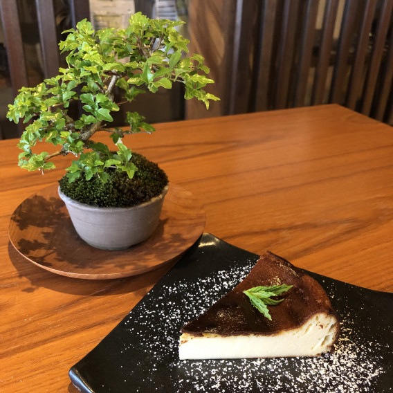 バスク風チーズケーキ 町家盆栽ｃａｆｅ コトノハ S Ownd