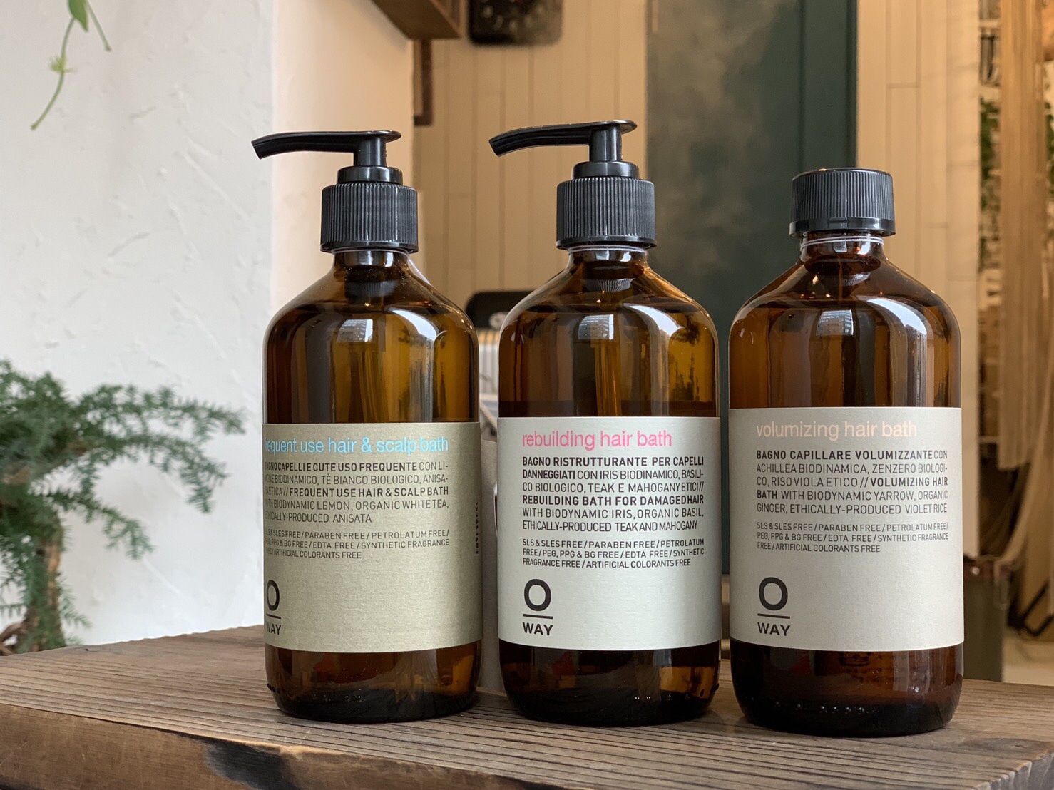Amazon | ローランド O-Way moisturizing モイスト ヘアバス
