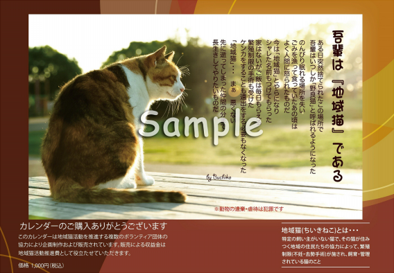 地域猫カレンダー「吾輩は”地域猫”である 2024」絶賛販売中！！ | かす