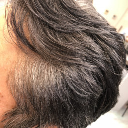 ビフォーアフター 白髪対策 比較写真 カットスペース ｋ ｰ Barber Shop 横浜市港南区の理容室 上永谷と下永谷の中間地にある理髪店です フェードカットやスキンフェードなどのメンズカットに定評あり 駐車場２台分完備