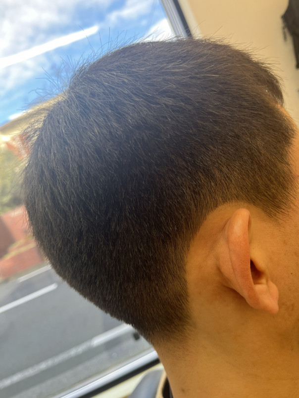 セルフカット サロンワーク フェードカット 6mm 伸ばし中のお客様 カットスペース K Barber Shop 横浜市港南区の理容室 上永谷と下永谷の中間地にある理髪店です フェードカットやスキンフェードなどのメンズカットに定評あり 駐車場２台分完備