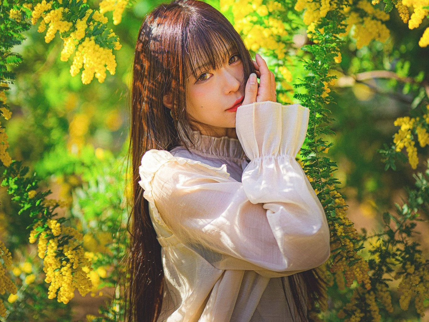 8624593d647b338014795d9ea6cba0