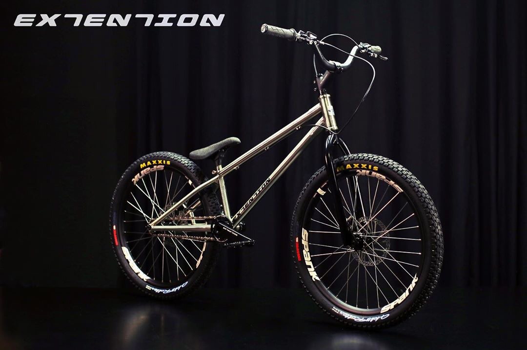 24'' ECHO CZAR Street ストリート トライアル バイク 自転車 自転車