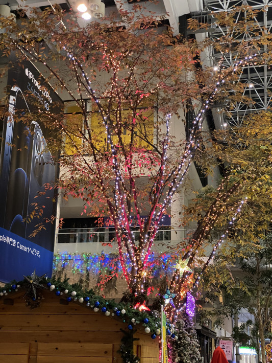 84クリスマスはもうすぐ 日光壮大な物語