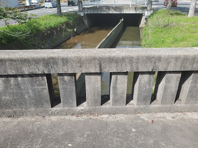 岡橋 干支大橋（宮崎県延岡市）。5月の新緑に映えるダイナミック