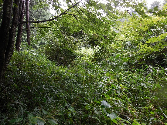 滋賀県道531号藤川春照線 Revenge 血まみれの終焉編