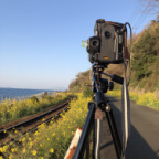 砂の花びら 砂の花びら