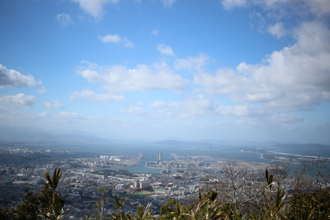 tozan.com