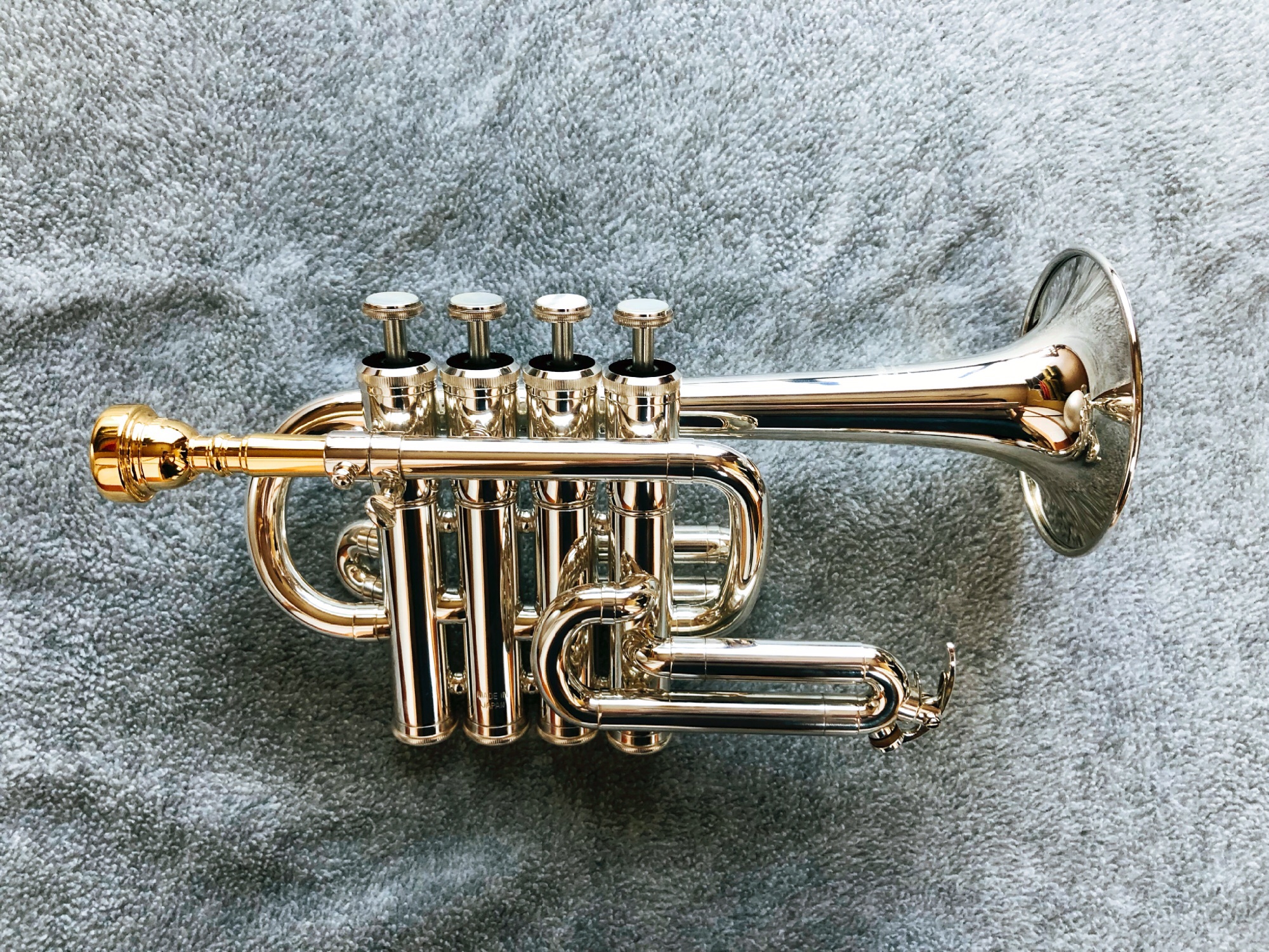 楽器 フリューゲル&ピッコロ | TRUMPET 小杉萌