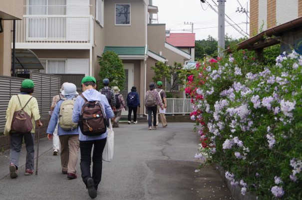 小田原フラワーガーデンと久野 諏訪の原の里山巡りウォークの記録 いせはら観光ボランティアガイド ウォーク協会