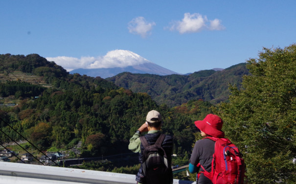 大野山 登山の記録 いせはら観光ボランティアガイド ウォーク協会