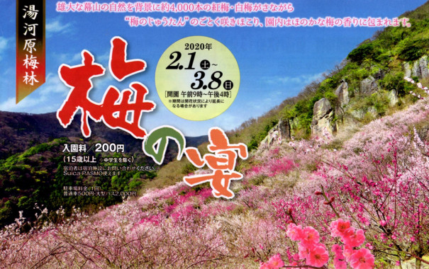 幕山 湯河原梅林 ウォーク参加者募集のお知らせ いせはら観光ボランティアガイド ウォーク協会 幕山 湯河原梅林 ウォーク参加者募集のお知らせ いせはら観光ボランティアガイド ウォーク協会