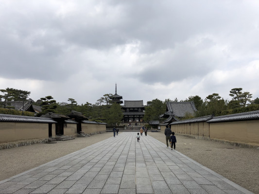 柿くへば せんなんすこやかnews