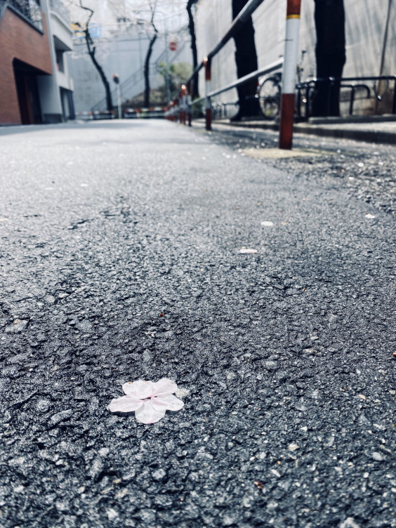 卒業おめでとう それは 離れる為の時間じゃなくて また会う為の時間 谷裕介 卒業おめでとう それは 離れる為の時間じゃなくて また会う為の時間 谷裕介