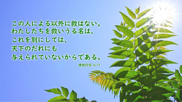 聖書の名言 救いを得る に関する33つの聖句 日々の糧