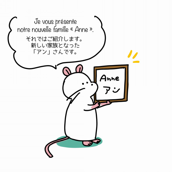 名前会議2 Chez Bonnet 名前会議2 Chez Bonnet