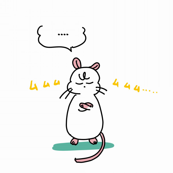 名前会議2 Chez Bonnet 名前会議2 Chez Bonnet