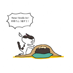 年06月の記事一覧 Chez Bonnet
